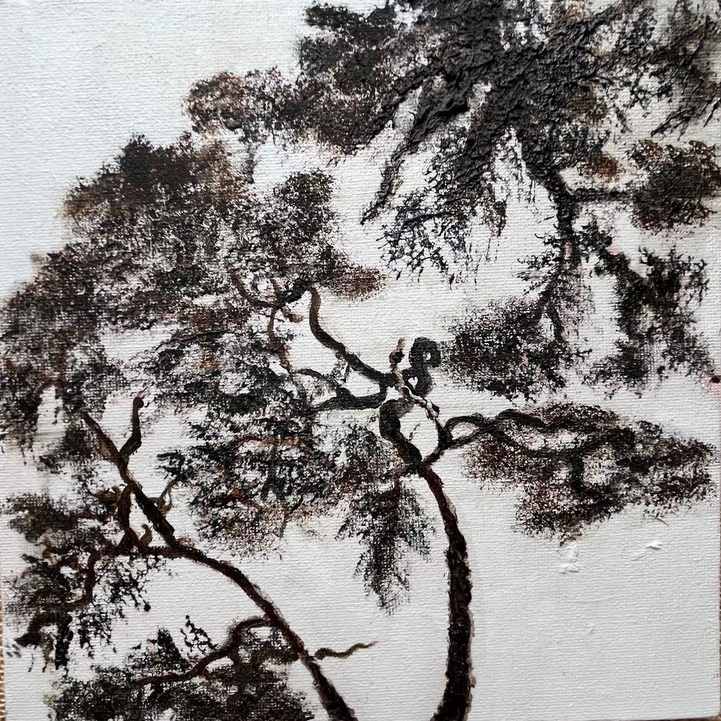 Looked up on a grey day