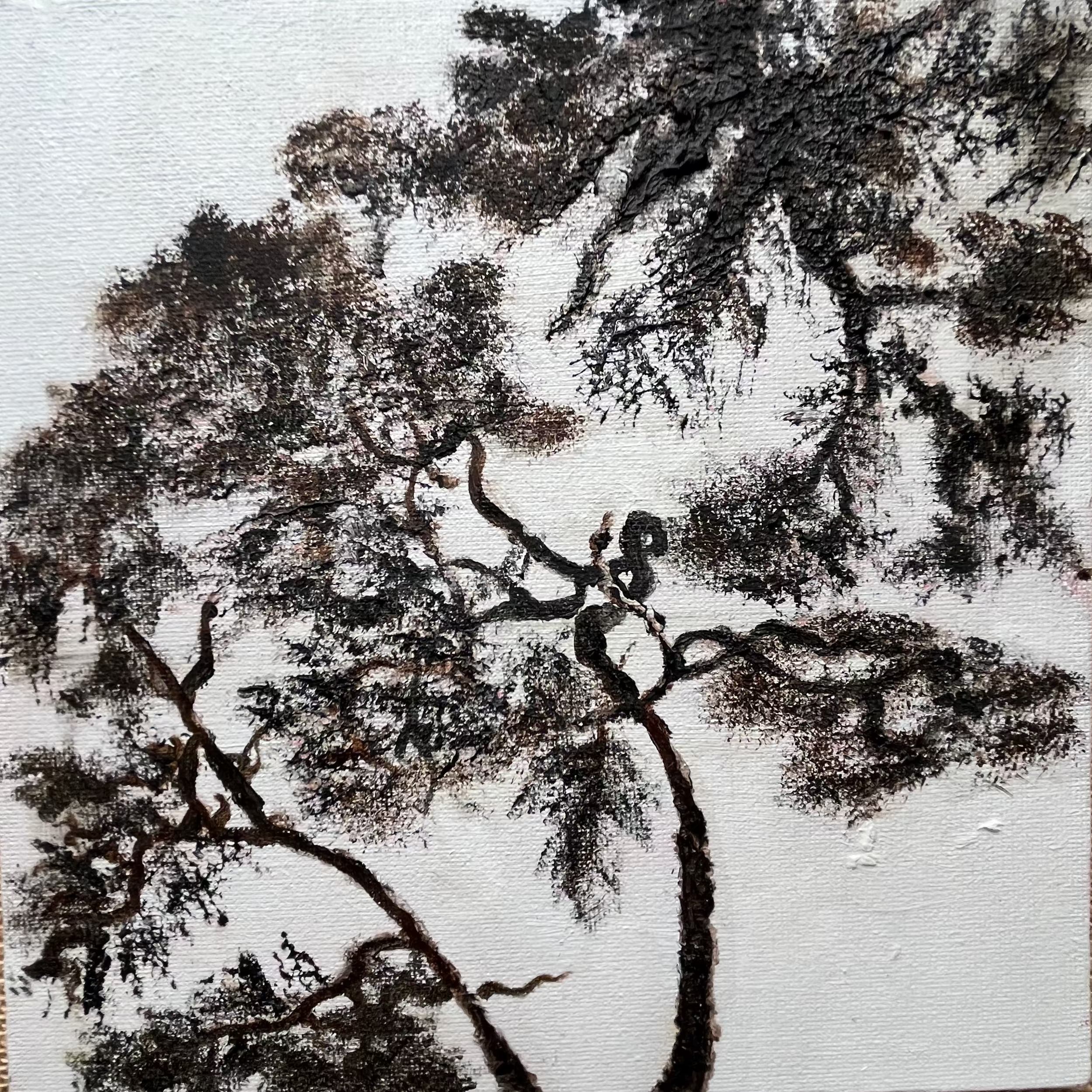 Looked up on a grey day