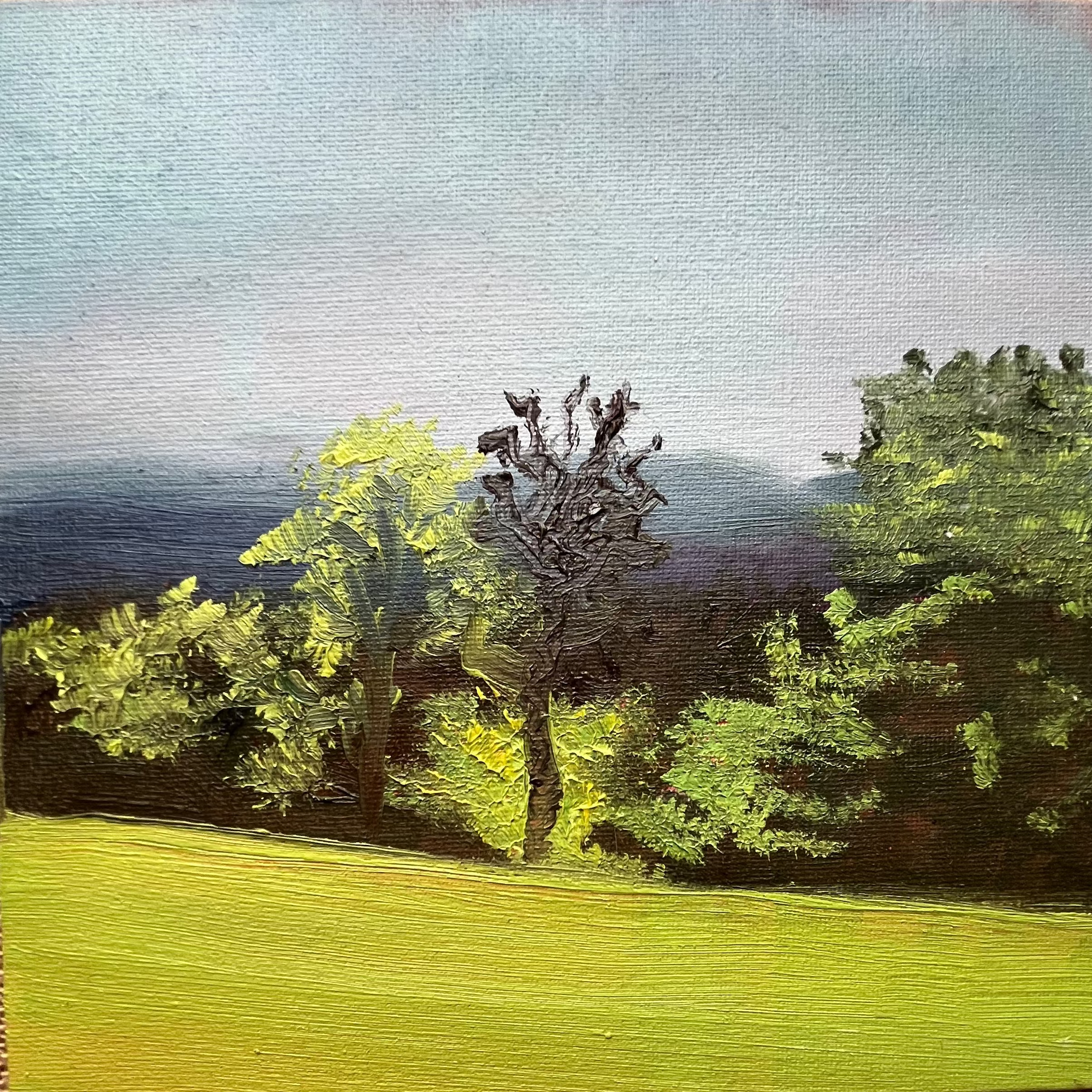 Golders Hill at sunset