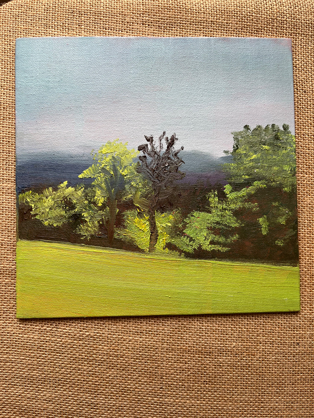 Golders Hill at sunset