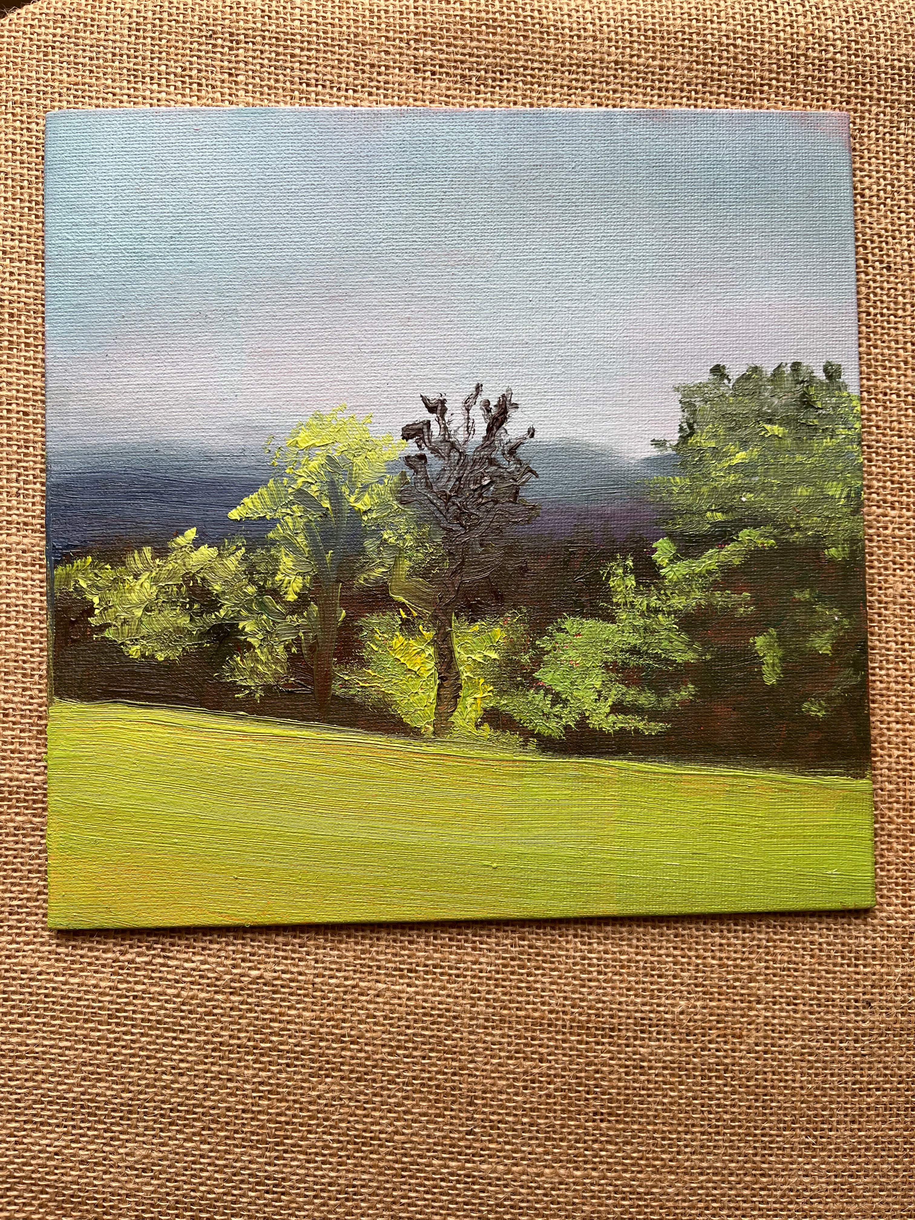 Golders Hill at sunset