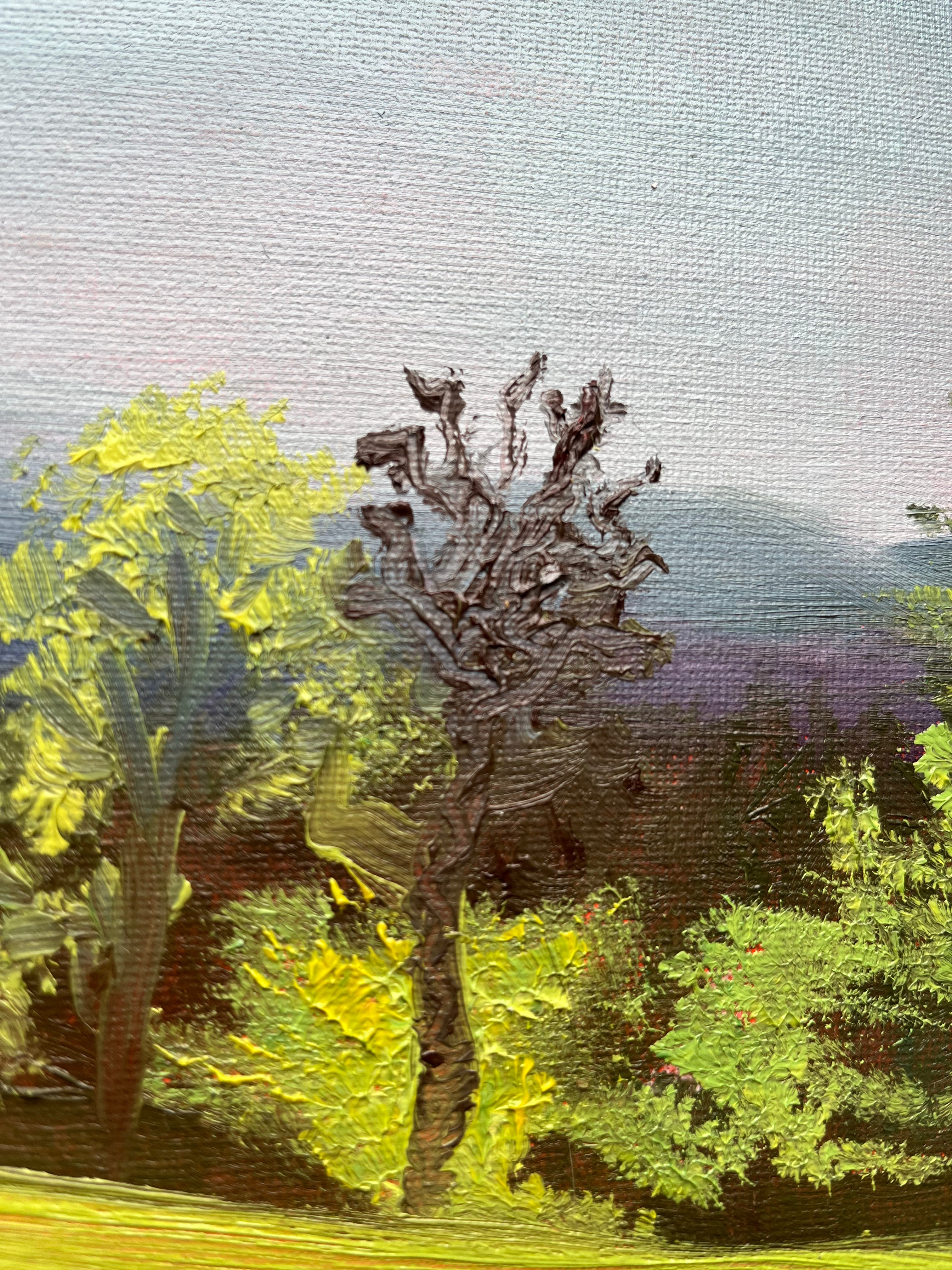 Golders Hill at sunset