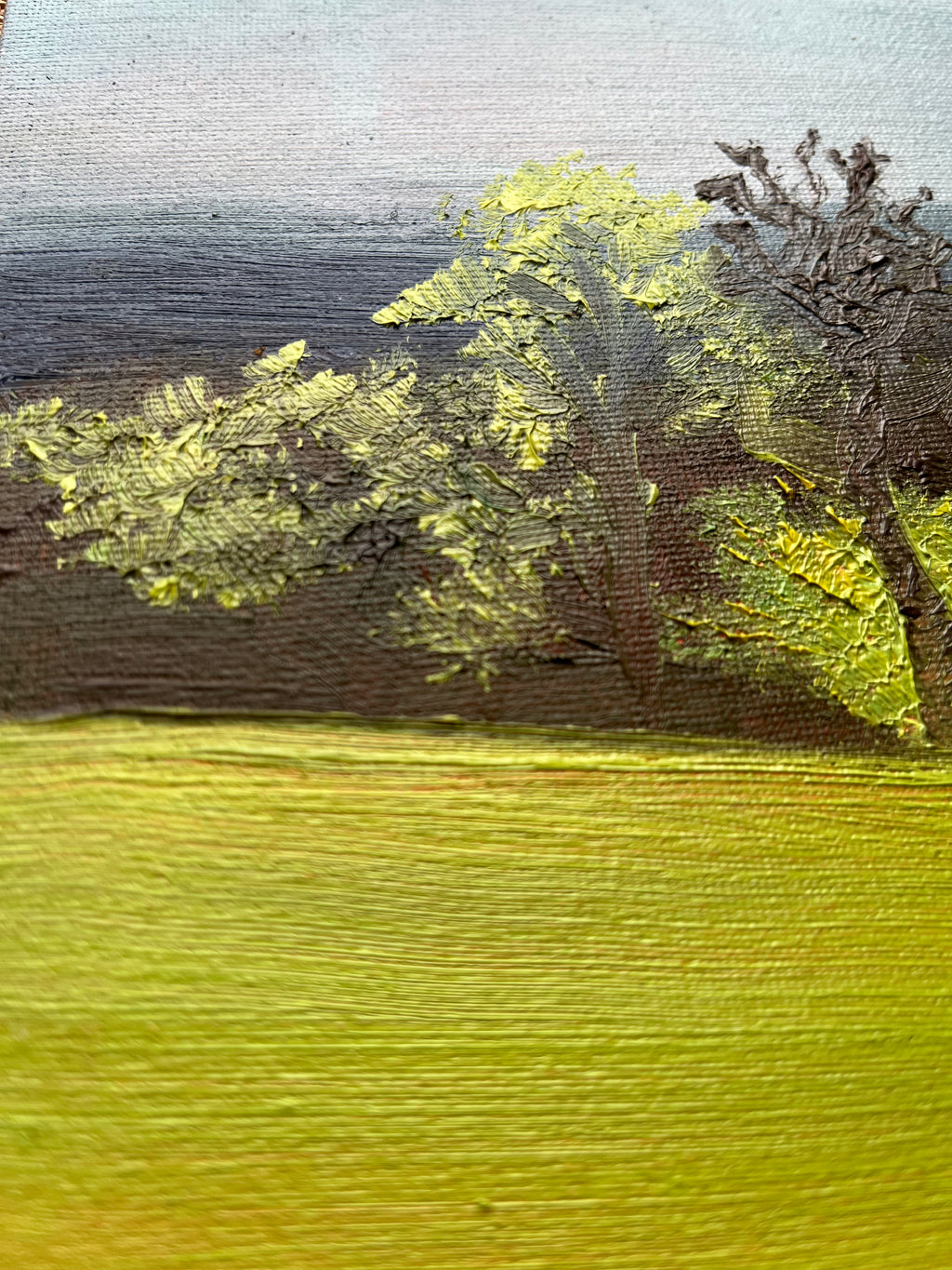 Golders Hill at sunset