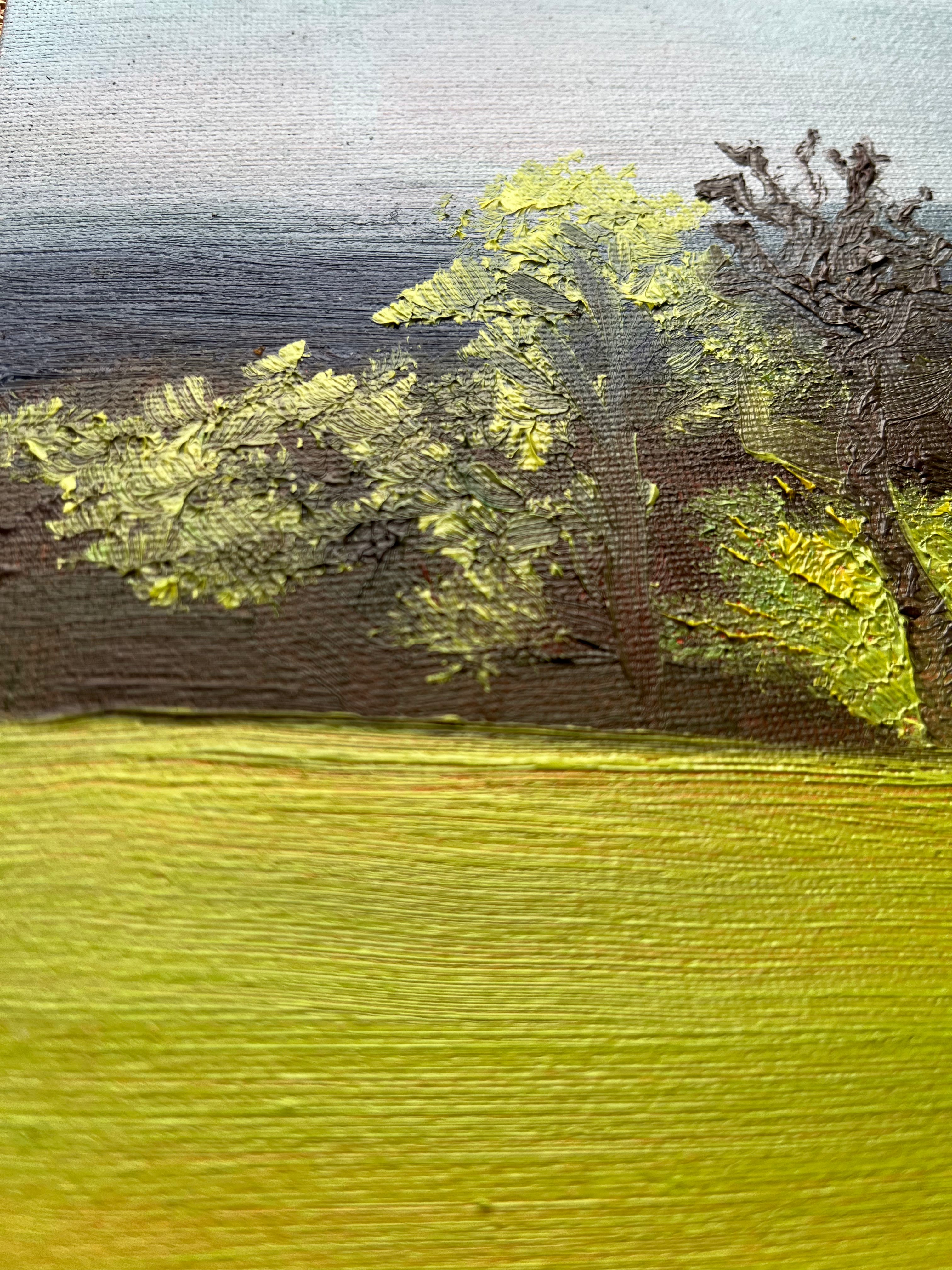 Golders Hill at sunset