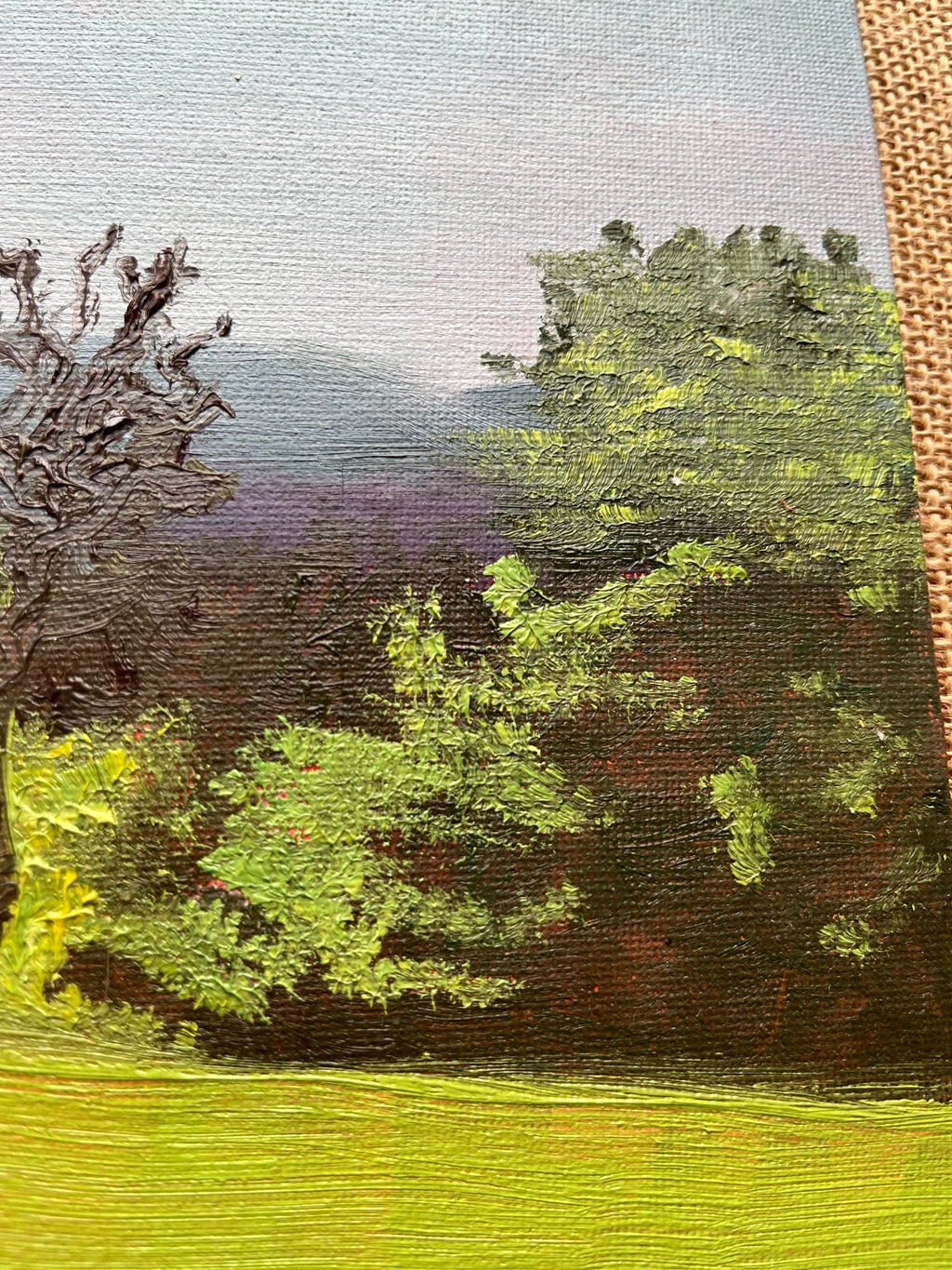 Golders Hill at sunset